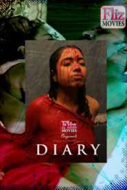 Diary (2020) Fliz Movies