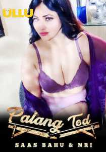 Saas Bahu And Nri (Palang Tod) 2021 Ullu