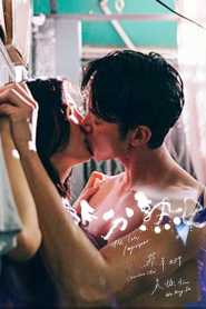 The Lady Improper (2019) Unofficial Hindi Dubbed