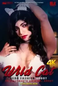WildCat Bebo (2020) 8flix Hindi